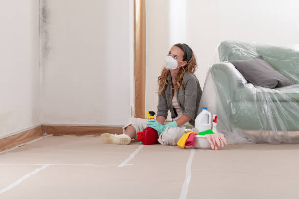 Reliable Basement Mold Removal contractor in Gwynn Oak, MD by WQB Mold Removal